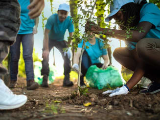 People Volunteer Environment Planting